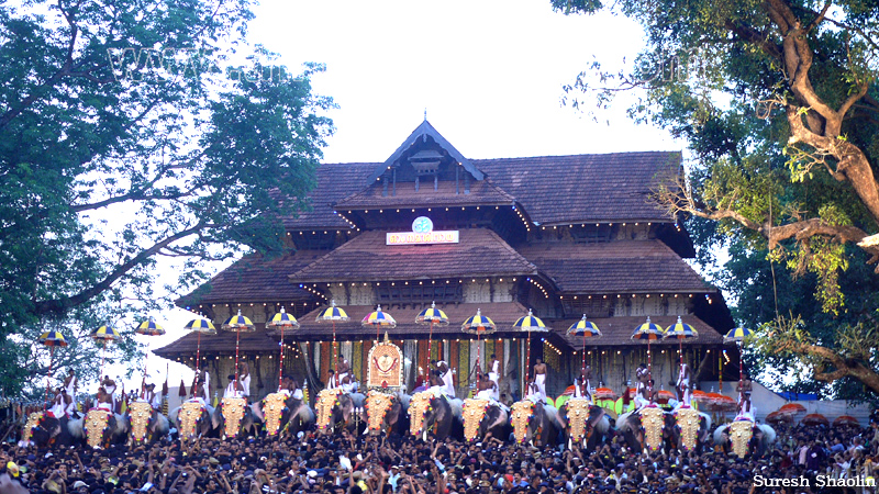 thrissur-pooram-2011- (44)